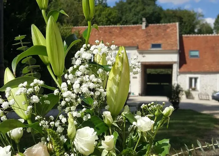 Le Moulin De Bed & Breakfast